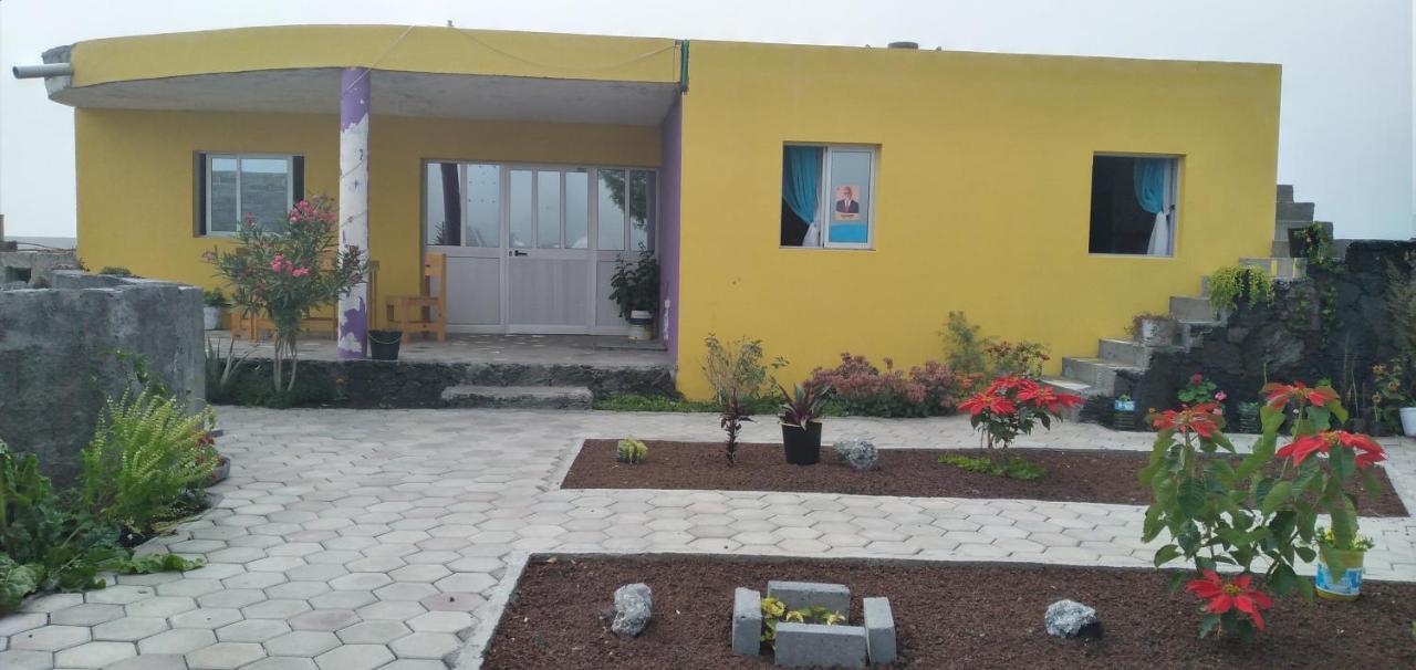 Ciza E Rose Bed & Breakfast Portela Dış mekan fotoğraf
